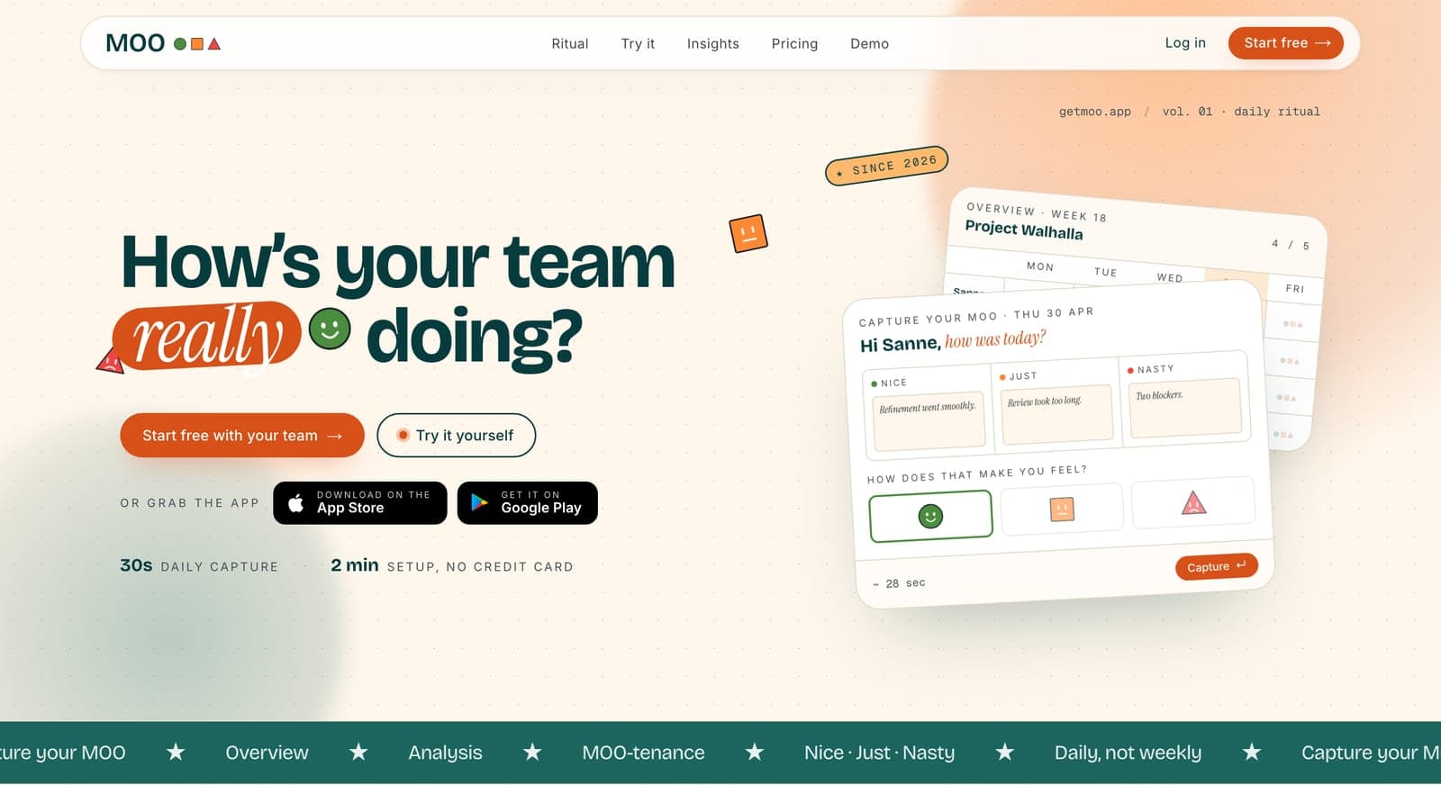 Homepage van getmoo.app